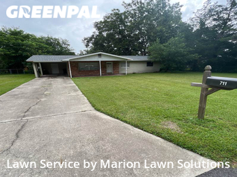 Lawn Cut nearby Ocala, FL, 