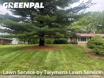 Yard Cutting nearby Indianapolis, IN, 
