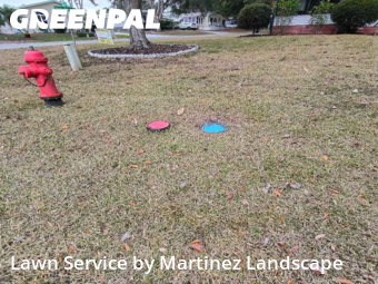 Turf Services in Lady Lake, 32159, Weekly Mowing by Martinez Landscape, work completed in Dec , 2025