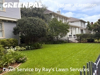 Yard Mowing nearby New Orleans, LA, 