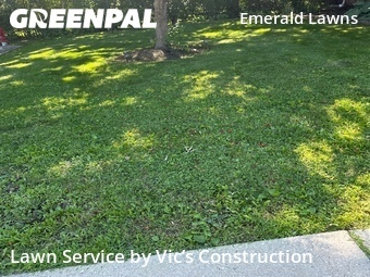 Lawn Maintenance nearby Joliet, IL, 