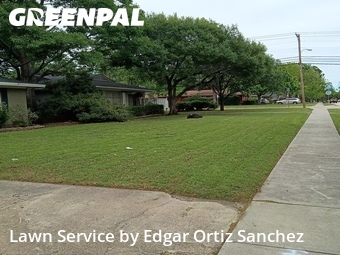 Lawn Maintenancein Richardson,75080,Lawn Cutting by Edgar Ortiz Sanchez, work completed in Jun , 2026