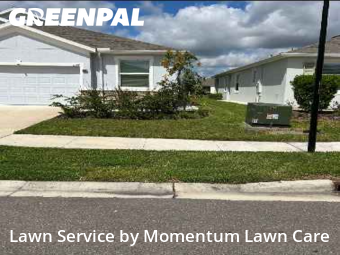 Lawn Cutin Wesley Chapel,33543,Lawn Cutting by Momentum Lawn Care, work completed in Nov , 2025
