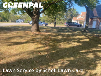Grass Cutting nearby St. Louis, MO, 