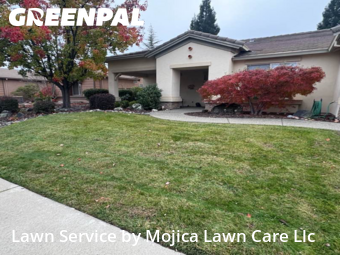 Landscaping Cleanup In Lincoln,95648,Landscape Design by Mojica Lawn Care Llc, work completed in Dec , 2025