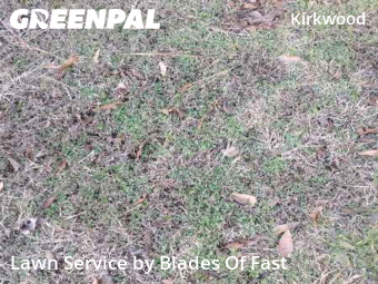 Affordable Landscaping Maintenance Services In Atlanta,30317,Landscapers by Blades Of Fast, work completed in Feb , 2026