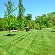 affordable-lawn-services-in-Warwick-RI