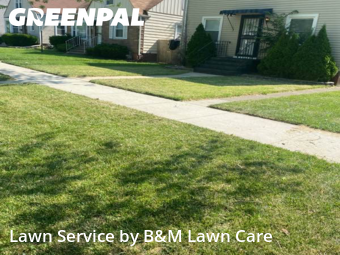 Grass Care in Dolton, 60419, Lawn Maintenance by B&M Lawn Care, work completed in Nov , 2025