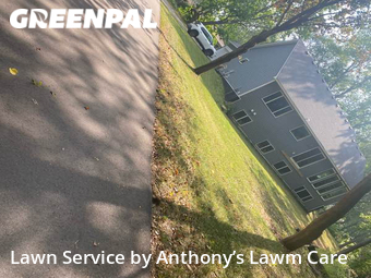 Grass Cut nearby Prior Lake, MN, 