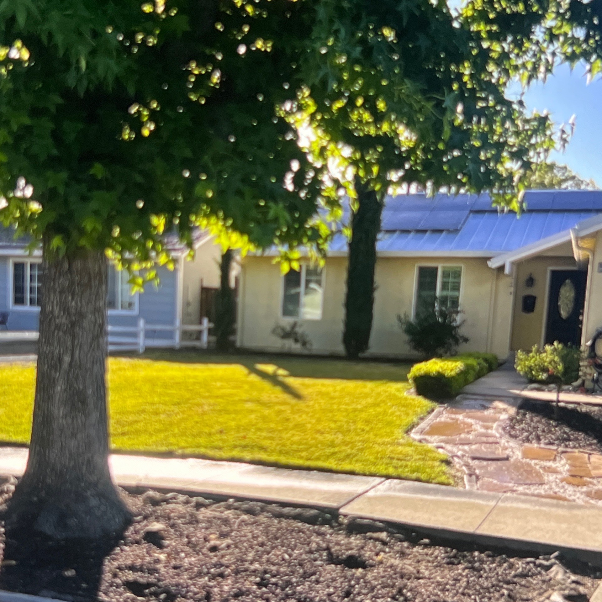Lawn mowing work by Flor Property Servic in Redwood City, CA