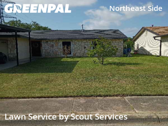 Yard Cutting nearby San Antonio, TX, 