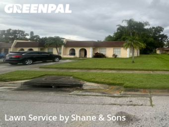 Yard Cutting nearby Seminole, FL, 