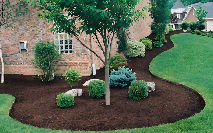 Work Image 3