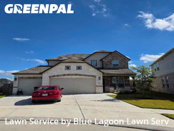 Lawn Carein Katy,77493,Yard Cutting by Blue Lagoon Lawn Serv, work completed in Nov , 2025