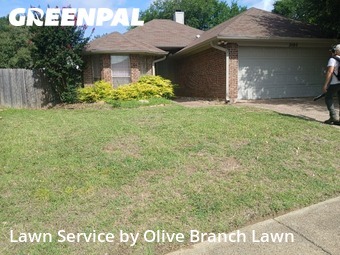 Lawn Maintenancein Keller,76248,Yard Mowing by Olive Branch Lawn, work completed in Nov , 2025