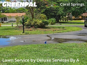 Landscaping Installation Coral Springs,33065,Landscaping Renovation by Deluxe Services By A, work completed in Jul , 2026