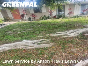 Lawn Mow nearby Port Charlotte, FL, 
