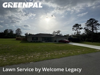 Lawn mowed in Ocala, 34473