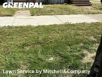 Lawn Mowing nearby Highland Park, MI, 