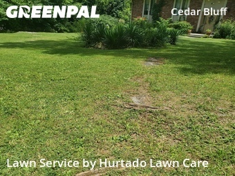 Lawn Care Service nearby Knoxville, TN, 