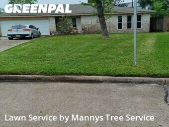 Yard Mowing nearby Friendswood, TX, 