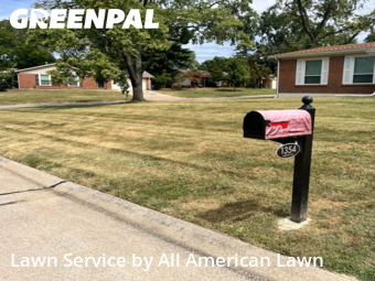 Yard Cutting nearby St. Louis, MO, 
