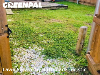 Lawn Cut nearby College Station, TX, 