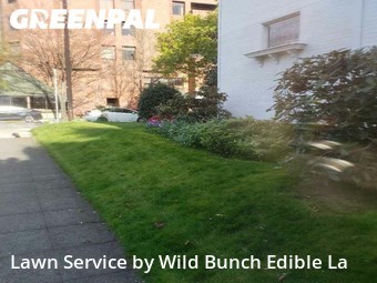 Lawn Maintenance nearby Seattle, WA, 