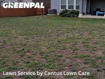 Grass Cut nearby Helotes, TX, 