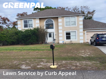 Yard Care Services in Spring Hill, 34609, Backyard Mowing by Curb Appeal , work completed in Dec , 2025