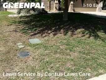 Lawn Cut nearby Converse, TX, 