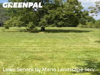 Grass Cut nearby Lake Bluff, IL, 