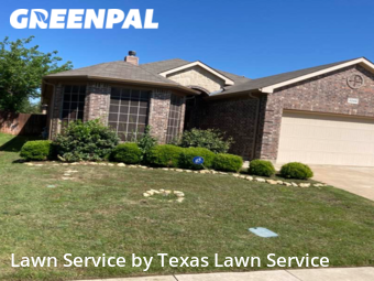 Grass Cut nearby Fort Worth, TX, 
