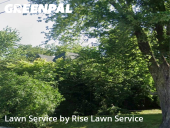 Lawn Cut nearby Davenport, IA, 