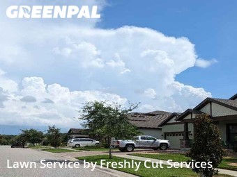 Lawn Cut nearby Brandon, FL, 