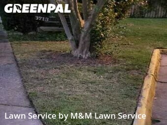 Lawn Mowing Service nearby Alexandria, VA, 