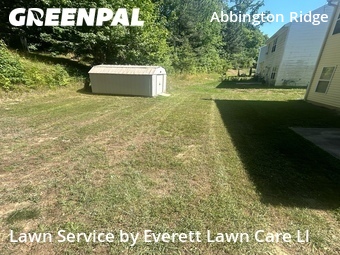 Lawn Mow nearby Raleigh, NC, 