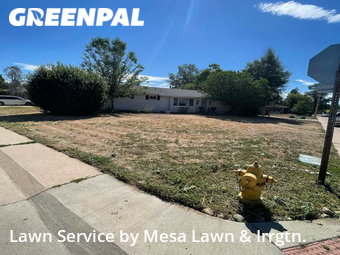 Lawn Cutting nearby Centennial, CO, 