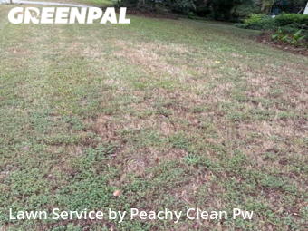 Lawn Cutting nearby Hiram, GA, 