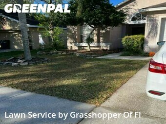 Lawn Care nearby Valrico, FL, 