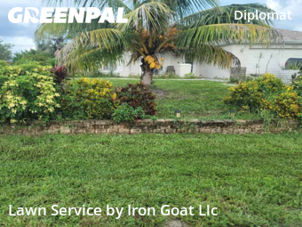 Grass Cutting nearby Cape Coral, FL, 