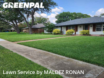 Yard Mowingin Richardson,75080,Yard Mowing by MALDEZ RONAN, work completed in Dec , 2025