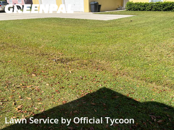 Lawn Mow nearby Palm Coast, FL, 