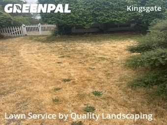 Lawn mowed in Kirkland, 98034