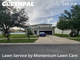 Lawn Cut nearby Tampa, FL, 