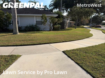 Lawn Mow nearby Orlando, FL, 