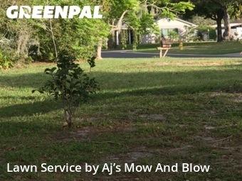 Lawn Mow nearby Winter Springs, FL, 