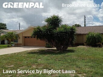Lawn Care Service nearby Fort Myers, FL, 