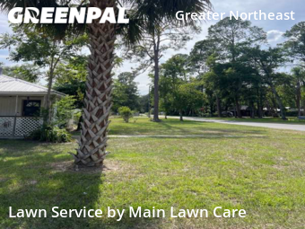 Yard Cutting nearby Gainesville, FL, 