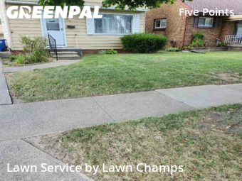 Lawn Cut nearby Toledo, OH, 